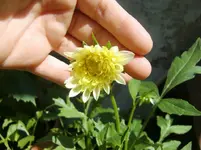 CIMG8134.webp
