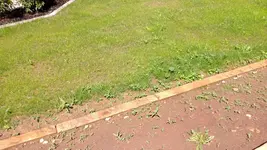 WP_20130721_005.webp