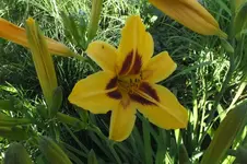 2013_0721Sommer0015.webp