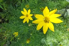 2013_0721Sommer0017.webp