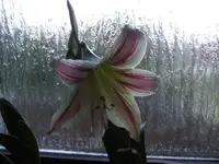 BILD2296.webp