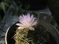 BILD2303.webp