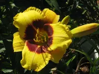 262_576x768.webp