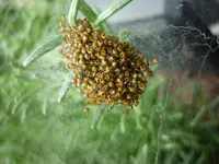P1010972(1).webp