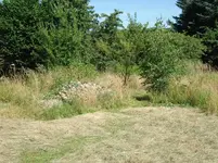garten juli b 2013 006.webp
