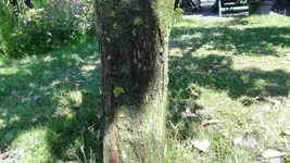 DSC09857.webp