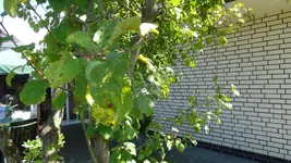 DSC09858.webp