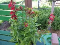 DSCF3715.webp