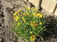 DSCF3720.webp