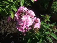 DSCF3722.webp