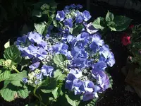 DSCF3718.webp