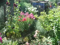 DSCF3723.webp