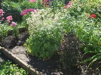 DSCF3725.webp