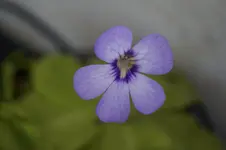_DSC2672.webp