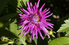 _DSC2678.webp