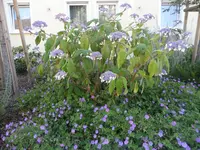 SAM_1374.webp