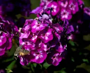 IMG_4572.webp