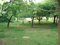 garten juli b2013 004.webp