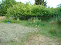 garten juli b2013 007.webp