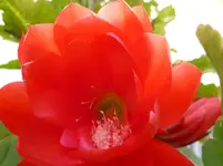 P1070801.webp