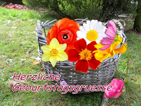 Geburtstag.webp