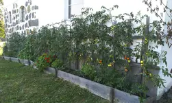 IMAG0041 Kopie.webp