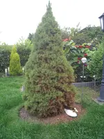 Anhang_2.webp