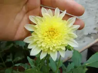 CIMG8242.webp