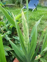 CIMG7901.webp