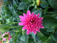 image.webp