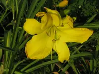 no name_1024x768.webp