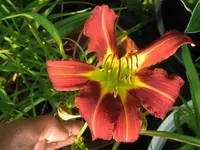 tr horst2_1024x768.webp