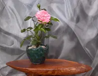 DSCI0027_Bildgröße ändern.webp