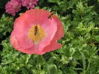 019.webp