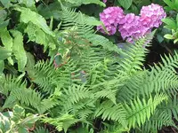012.webp
