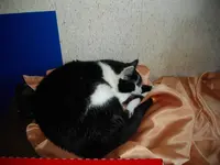 IMGP0364.webp
