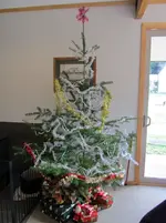 Copy of IMG_3917v.webp