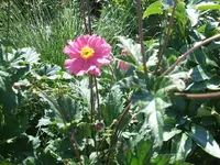DSCF3735.webp