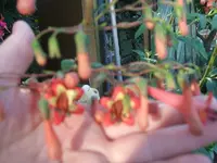 DSCF3737.webp
