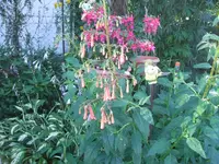 DSCF3736.webp
