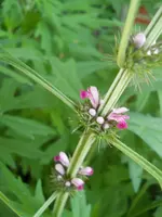 DSCN2365.webp
