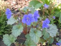 DSCN2357.webp