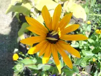 DSCN2359.webp