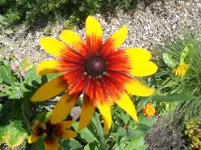 DSCN2362.webp