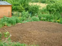 garten juli c 2013 002.webp