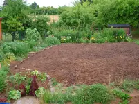 garten juli c 2013 003.webp