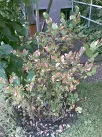 24072013(004).webp