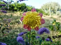 CIMG8382.webp