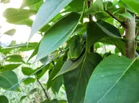 CIMG8333.webp