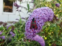 CIMG8376.webp